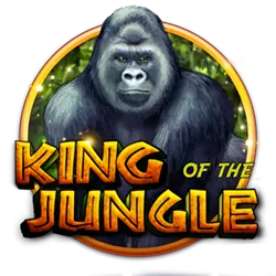 bmw 555 casino login what is insure bet in blackjack